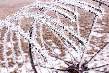 frost on metal