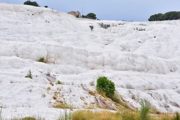 The surroundings of the famous Pamukkale travertines with beautiful tropical plants. Cotton castle in Turkey, Denizli Province.