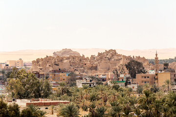 Fototapeta na wymiar Ancient cemetery hill in the town of Siwa, Libyan desert