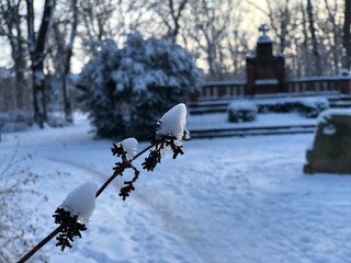 Winter incoming!