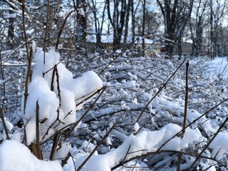 Winter incoming!