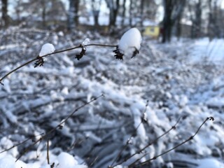 Winter incoming!