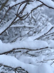 Winter incoming!