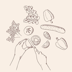 Fresh vegetable salad in sketch line style. Concept cooking organic healthy vegan, vegetarian, dietary, vitamin dish with farm products. Tomato, cucumber, bell pepper. Isolated vector illustration