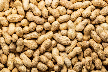 Dried peanuts. Tasty groundnuts.