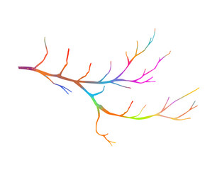 A multi-colored bare tree branch. Vector illustration