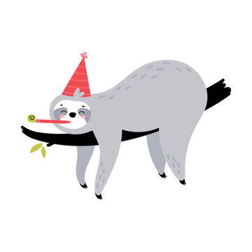 Cute hand drawn sloth hanging on the tree. Lazy animal character in a festive birthday cap. Design for t shirt print, greeting card, poster. Hand drawn vector illustration.