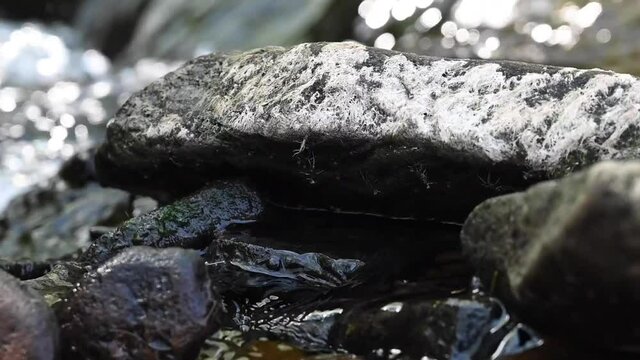 Flowing stream brook clear water splashes in streambed on spring with sunshine reflections.	