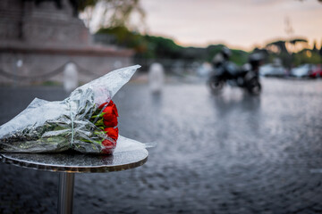 A rose must remain with sun and the rain or its lovely promises won`t come true.