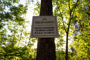 no sign in the forest