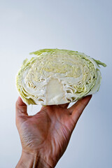 Obraz premium Half a cabbage on hand in a bright background