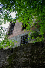 Fototapeta na wymiar old brick wall with ivy