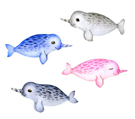 Set with cute little narwhals in different colors: gray, blue, pink, indigo. Cartoon character isolated on white background. For children's creativity and design. © Natalia Razdrogova