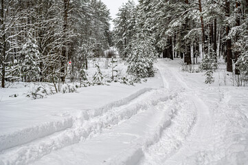 Beautiful winter forest landscape. Snow-covered road with a track in the forest.