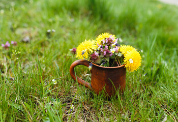 a clay cup with a bouquet of bright spring flowers stands on a green lawn.