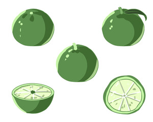 ゆず　緑　線無し