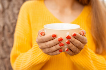 Close-up shot of a girl holding cup of tea in autumn forest. Warming hands with cup of tea on cool Autumn day - obrazy, fototapety, plakaty
