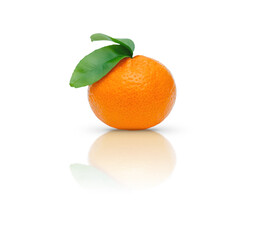 Mandarin with reflection on white background
