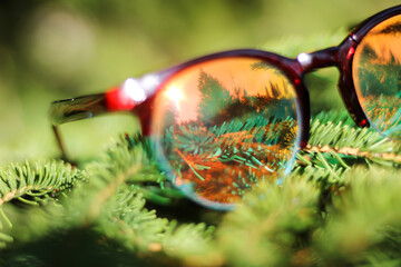 the reflection of the sun in the sunglasses left on the tree