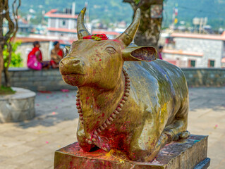Nepal, Pokhara golden cow statue  of the important Bindabasini temple.