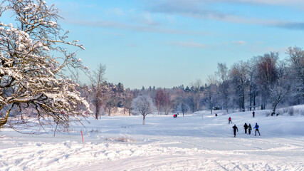 Skiers on a golf course on a sunny winter day in Stockholm, Sweden.