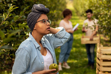 Black woman entrepreneur checking out plants in orchard 
