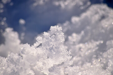 nieve