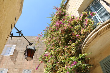 Summer in Mdina in Malta