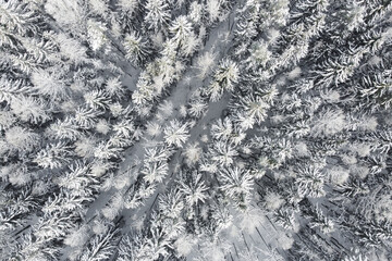 Aerial view of winter nature. Trees covered hoarfrost. Winter forest landscape with snowy trees, top view
