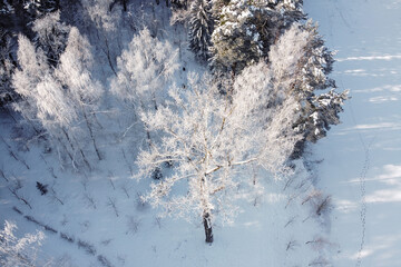 Winter landscape - frozen river and trees covered hoarfrost, aerial view