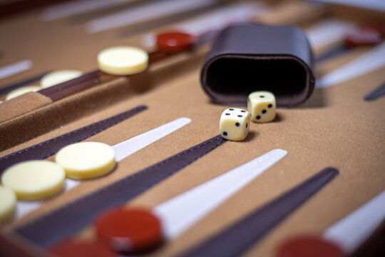 game of backgammon
