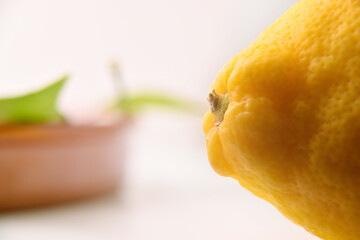Detail of the pedicel of the lemon