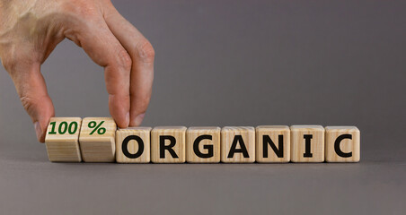100 percent organic symbol. Businessman turns wooden cubes and changes words 'organic' to '100 percent organic'. Beautiful grey background, copy space. Business, healthy lifestyle organic concept.