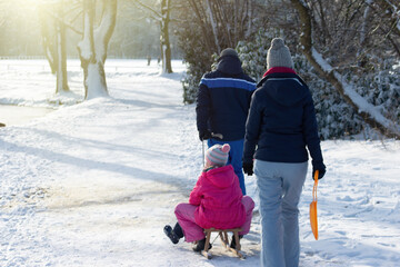 Back view of young couple and little girl on a sledge walking through the snow, concept of winter, joy, family