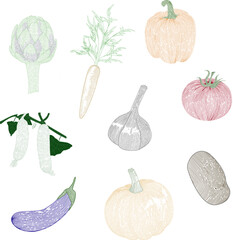 Set collection illustrations engraving style vegetable artichoke carrot pepper cucumber garlic tomato eggplant pumpkin potato contour stroke