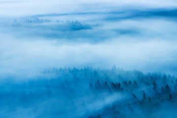 View over endless forest covered by fog in the twilight of dawn