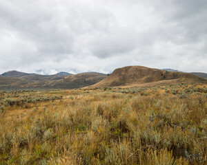 Landscape shot of grasslands with mountains 