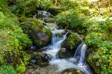 waterfall in the forest