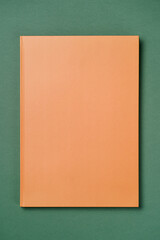 Orange Leather notebook on paper green background, notepad mock up, top view shot