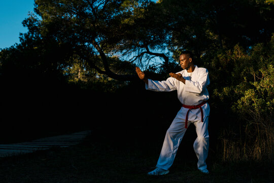 Adult man practicing martial arts in forest at dusk