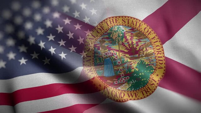 Florida State USA Mixed Flag Close Up HD