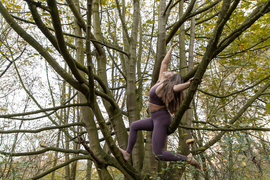 Young woman with arms raised practicing yoga on branches in forest