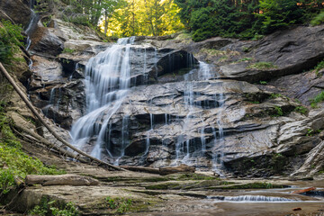 Fototapeta premium waterfall in the forest