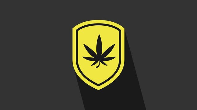 Yellow Shield and marijuana or cannabis leaf icon isolated on grey background. Marijuana legalization. Hemp symbol. 4K Video motion graphic animation
