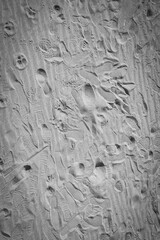 footprints in the sand