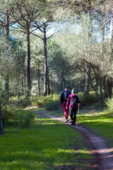 A couple walking in the woods. Sport and healthy lifestyle