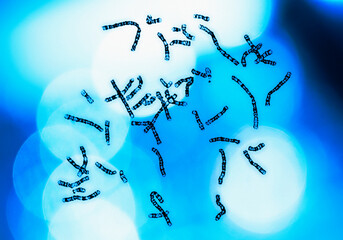 Chromosomes on blue background