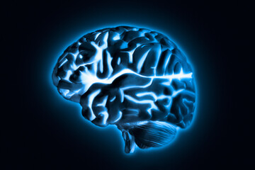 Human brain model with blue glow, studio shot