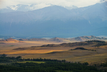 Scenic alpine landscape with vast plateau with forest in sunlight on background of snowy mountain ridge under cloudy sky. Colorful green mountain valley in sunshine and snowy mountain range on horizon
