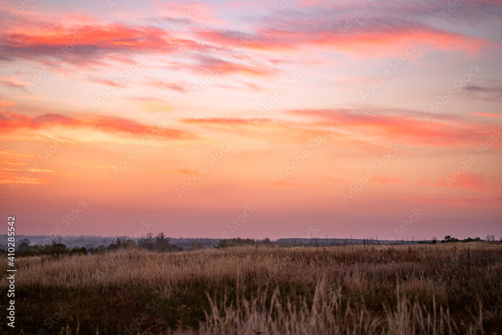 Wall mural vanilla sky at sunset with clouds and a rustic field of dry autumn grass. horizontal shot of a paste